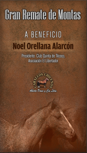 Remate Beneficio Noel Orellana