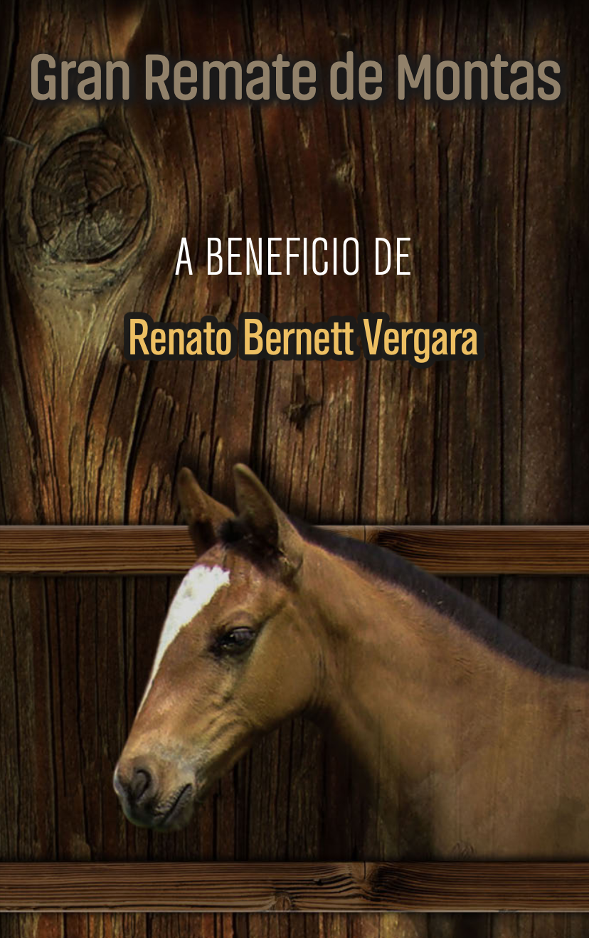 Remate a Beneficio Renato Bernett