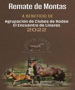 RMTE MONTAS Linares 2022