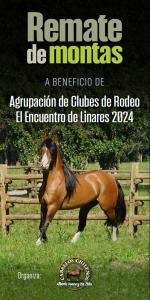 RMTE MONTAS LINARES 2024