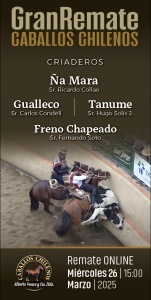 RMTE 26marzo