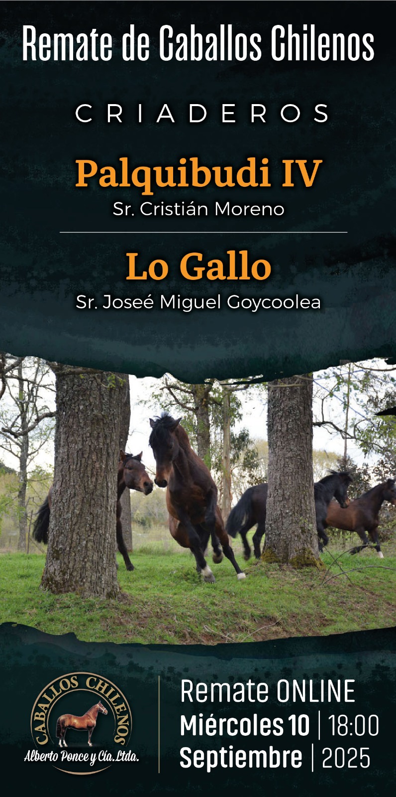 PalquibudiIV-LoGallo-Septiembre2025