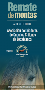 REMATE MONTAS Casablanca-Jul-2025