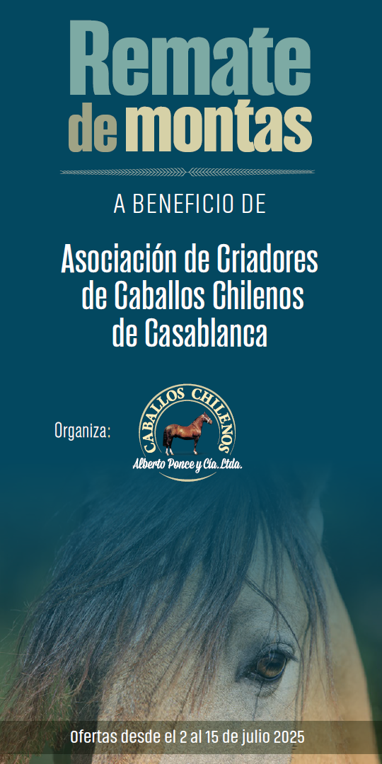 REMATE MONTAS Casablanca-Jul-2025