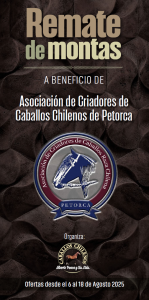 RMTE MONTAS PETORCA 2025