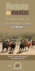 RMTE MONTAS YUNGAY-8-Sep-2025